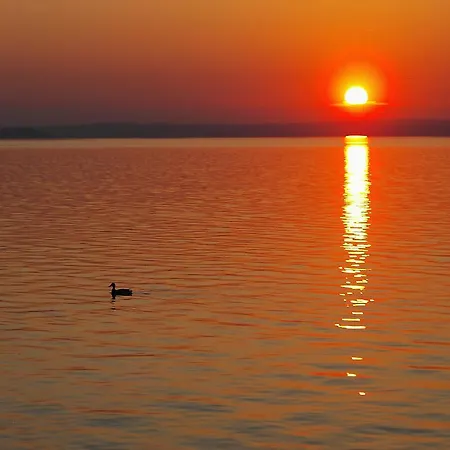 Semesterbostad Koppi Haz